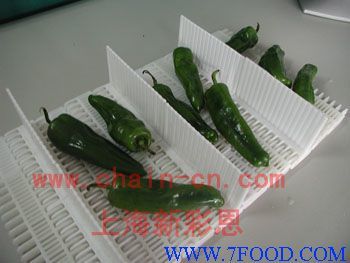 食品專用輸送帶_產品(價格、廠家)信息_中國食品科技網