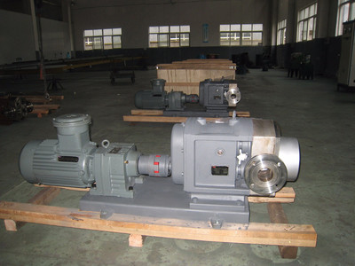 普利施65PLST6-10 日用化工轉(zhuǎn)子泵,甘油、化妝品料漿輸送泵 價(jià)格優(yōu)惠歡迎咨詢圖片_高清圖_細(xì)節(jié)圖-江蘇普利施泵業(yè) -